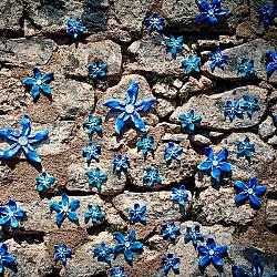Fleurs de Lave