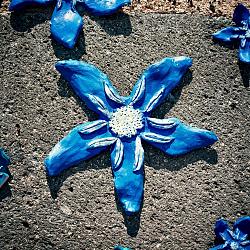 Fleurs de Lave