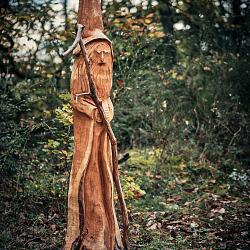 Forêt des souches sculptées