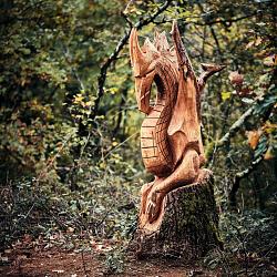 Forêt des souches sculptées