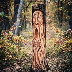 Forêt des souches sculptées