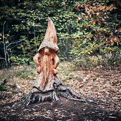 Forêt des souches sculptées