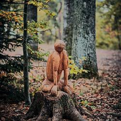 Forêt des souches sculptées