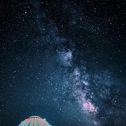 Eye