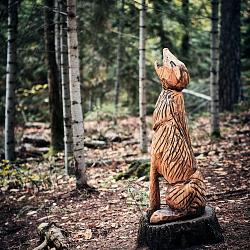 Forêt des souches sculptées