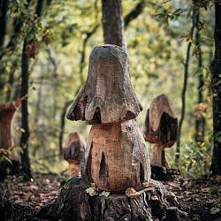 Forêt des souches sculptées