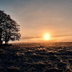 Lever de soleil dans une ambiance givrée