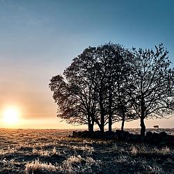 Lever de soleil dans une ambiance givrée