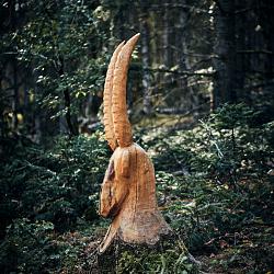 Forêt des souches sculptées