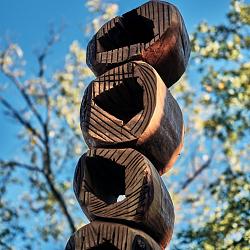 Forêt des souches sculptées