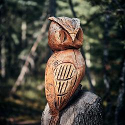 Forêt des souches sculptées
