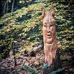 Forêt des souches sculptées