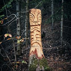 Forêt des souches sculptées