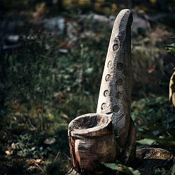 Forêt des souches sculptées