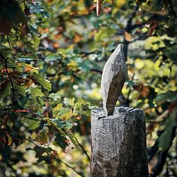 Forêt des souches sculptées