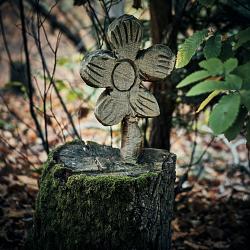 Forêt des souches sculptées