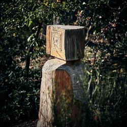 Forêt des souches sculptées