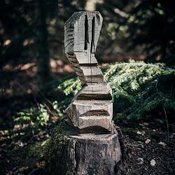 Forêt des souches sculptées