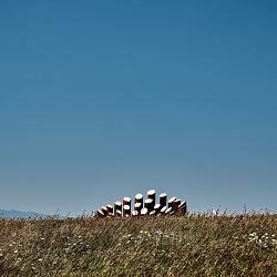 Orgue aux abeilles