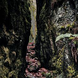 Tranchades de Laquairie