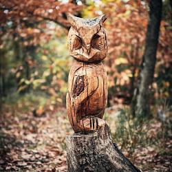 Forêt des souches sculptées