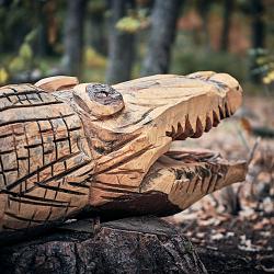 Forêt des souches sculptées