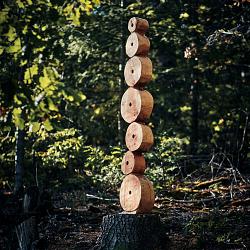 Forêt des souches sculptées