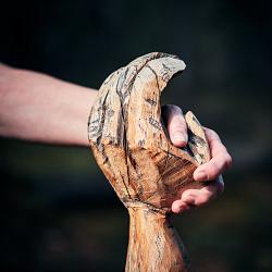 Forêt des souches sculptées