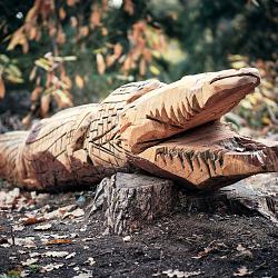 Forêt des souches sculptées