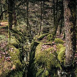 Tranchades de Laquairie