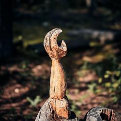 Forêt des souches sculptées