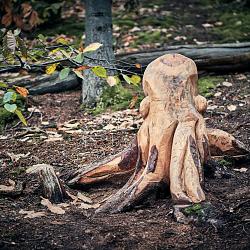 Forêt des souches sculptées