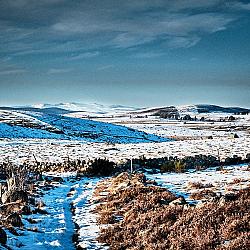 Les Monts du Cantal depuis l'Aubrac