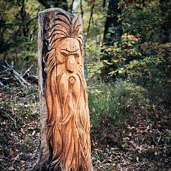 Forêt des souches sculptées