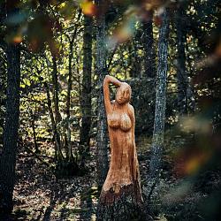Forêt des souches sculptées