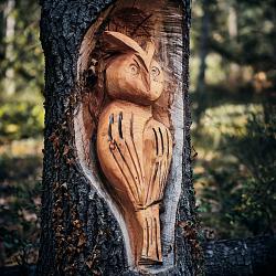 Forêt des souches sculptées