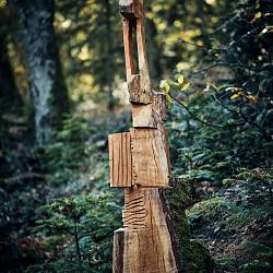 Forêt des souches sculptées