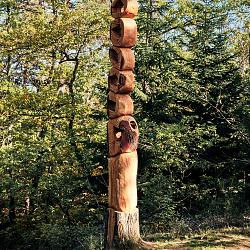 Forêt des souches sculptées