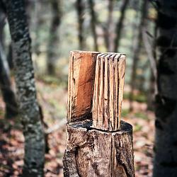 Forêt des souches sculptées