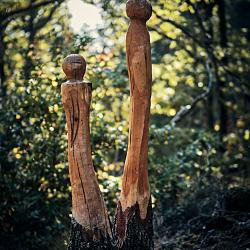 Forêt des souches sculptées